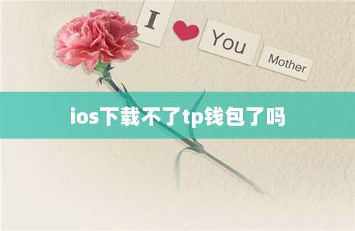 ios下载不了tp钱包了吗