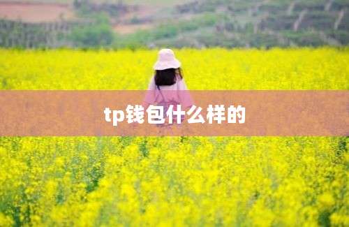 tp钱包什么样的