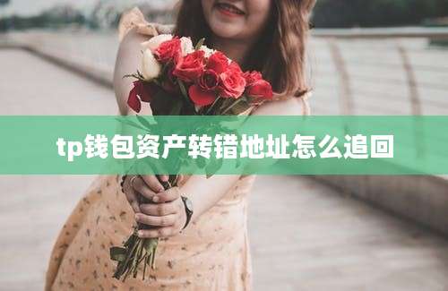 tp钱包资产转错地址怎么追回