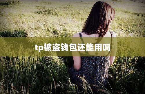 tp被盗钱包还能用吗