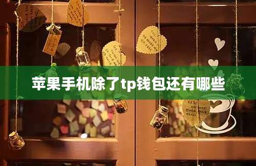 苹果手机除了tp钱包还有哪些