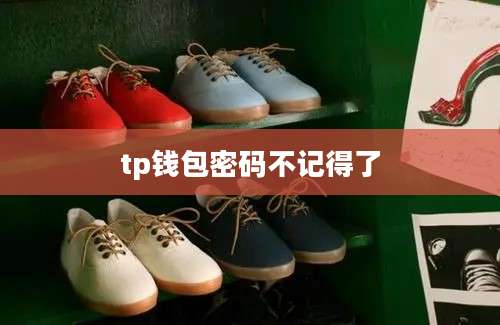 tp钱包密码不记得了