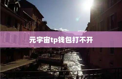 元宇宙tp钱包打不开
