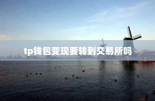 tp钱包变现要转到交易所吗
