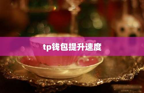 tp钱包提升速度