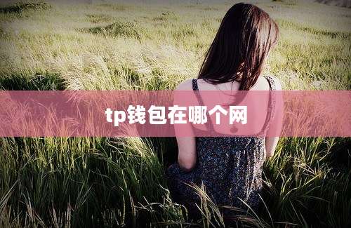 tp钱包在哪个网