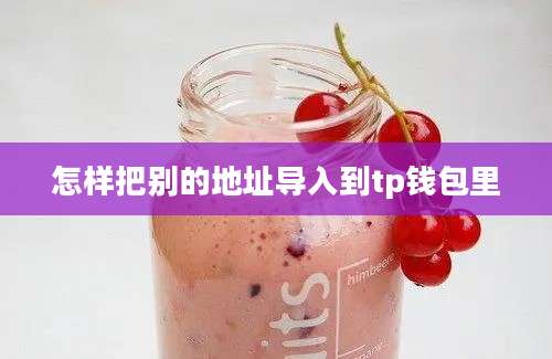 怎样把别的地址导入到tp钱包里