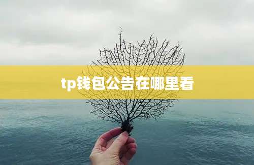 tp钱包公告在哪里看