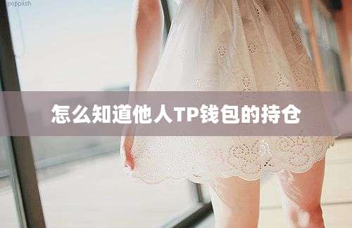 怎么知道他人TP钱包的持仓