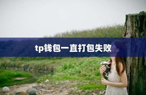 tp钱包一直打包失败