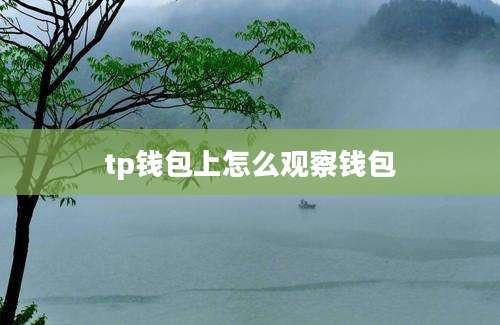 tp钱包上怎么观察钱包