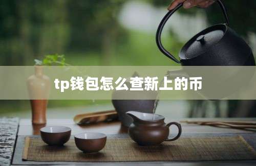 tp钱包怎么查新上的币