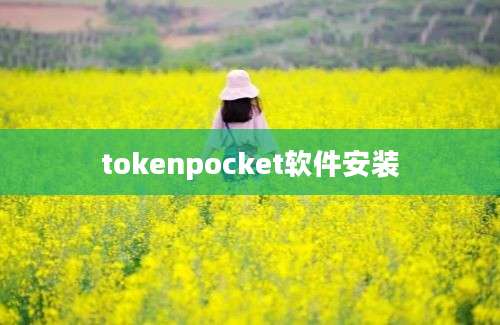 tokenpocket软件安装