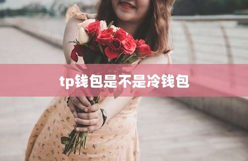 tp钱包是不是冷钱包