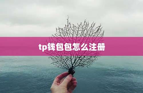 tp钱包包怎么注册