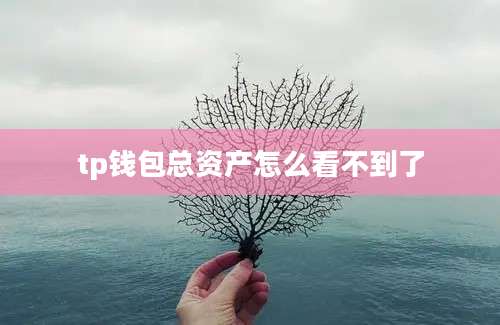 tp钱包总资产怎么看不到了