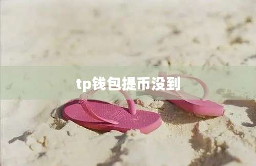 tp钱包提币没到