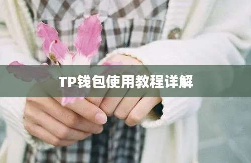 TP钱包使用教程详解