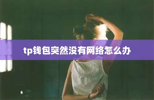 tp钱包突然没有网络怎么办
