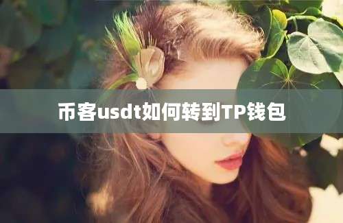 币客usdt如何转到TP钱包