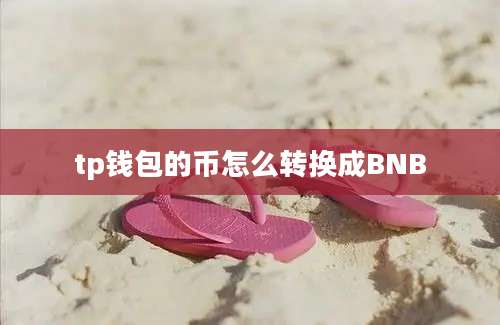 tp钱包的币怎么转换成BNB