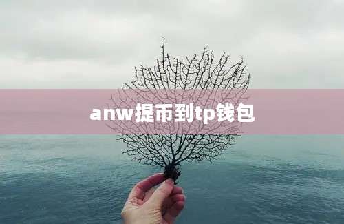 anw提币到tp钱包