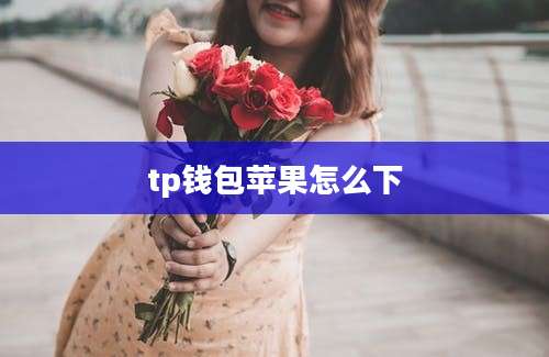 tp钱包苹果怎么下