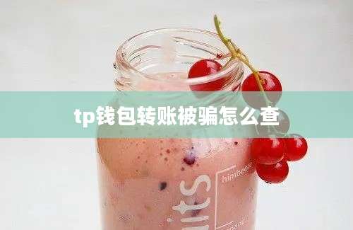 tp钱包转账被骗怎么查