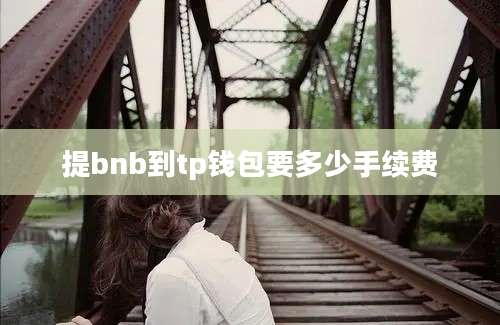 提bnb到tp钱包要多少手续费