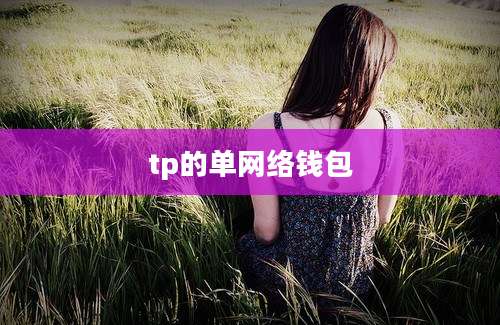 tp的单网络钱包