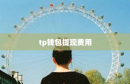 tp钱包提现费用
