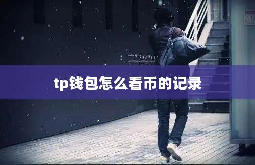 tp钱包怎么看币的记录
