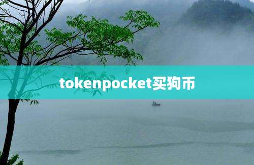 tokenpocket买狗币