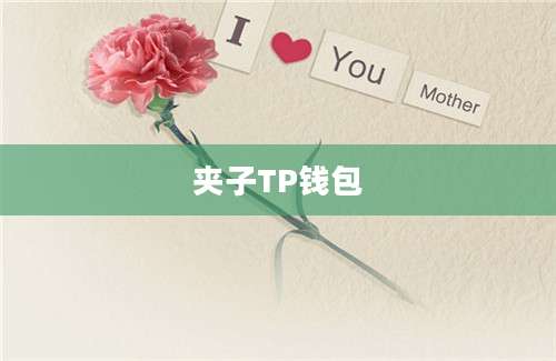 夹子TP钱包
