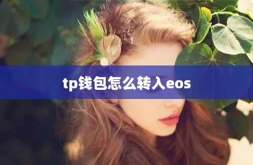 tp钱包怎么转入eos