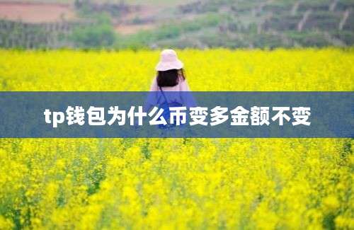 tp钱包为什么币变多金额不变