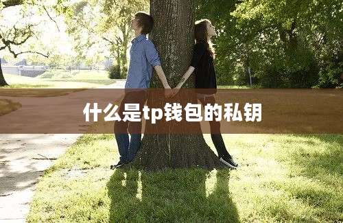 什么是tp钱包的私钥