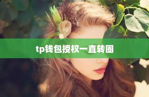 tp钱包授权一直转圈
