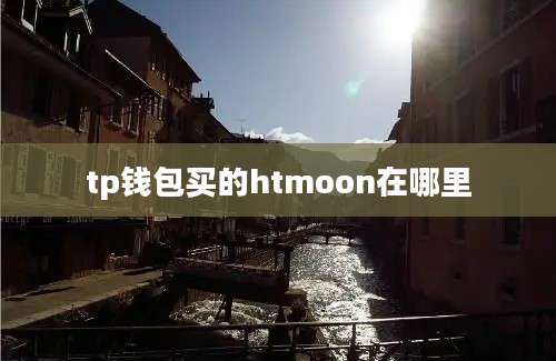 tp钱包买的htmoon在哪里