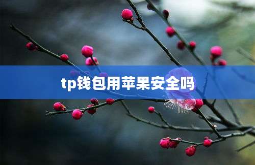 tp钱包用苹果安全吗