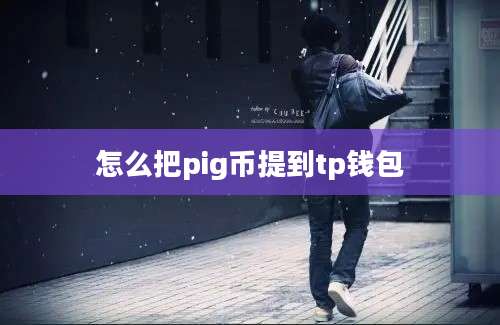 怎么把pig币提到tp钱包