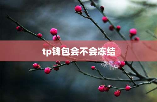 tp钱包会不会冻结