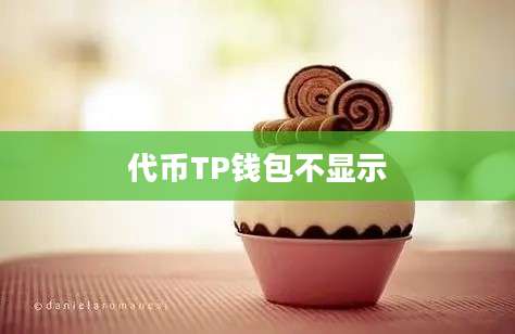代币TP钱包不显示