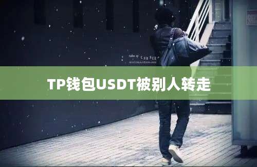 TP钱包USDT被别人转走