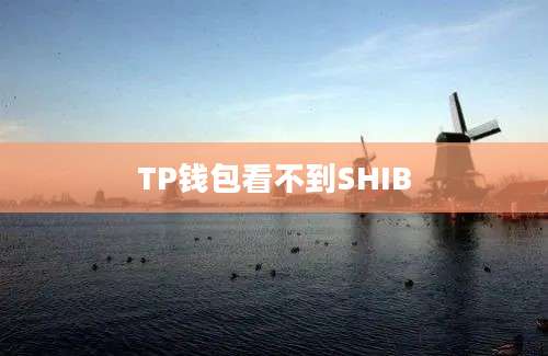 TP钱包看不到SHIB