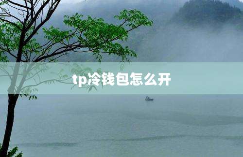 tp冷钱包怎么开