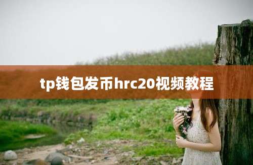 tp钱包发币hrc20视频教程