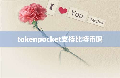 tokenpocket支持比特币吗