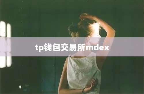 tp钱包交易所mdex