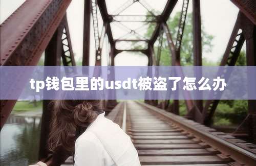 tp钱包里的usdt被盗了怎么办
